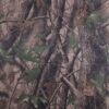 Polyester 600D Digital Printing Camouflage Coated PVC Fabric - 图片 3